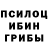 Псилоцибиновые грибы Cubensis This phenomenon