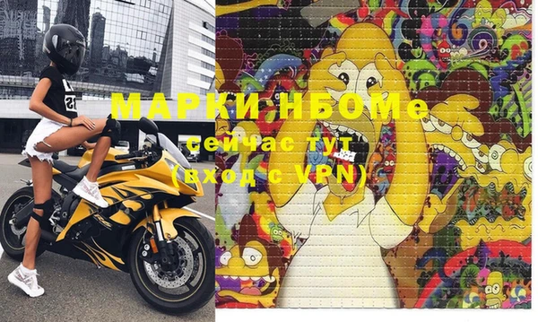 стафф Протвино