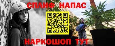 стаф Кунгур