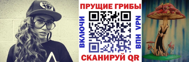 купить наркоту Майский Галлюциногенные грибы ЛСД
