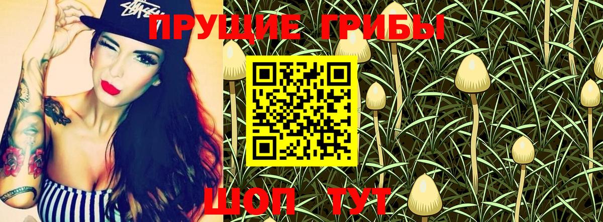 Псилоцибиновые грибы Psilocybe  Вход с VPN  Майский 
