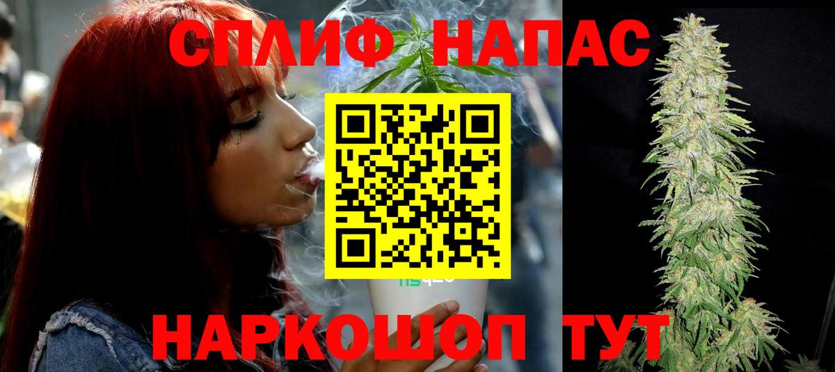 Конопля план Майский